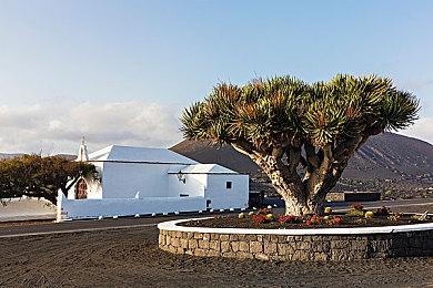 订阅GeForce Now现可免费获得《孤岛危机》重制版